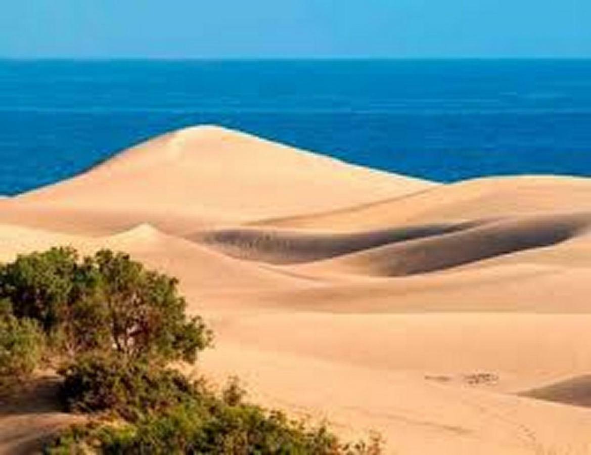 Bungalow Duna Flor Maspalomas Maspalomas  Ngoại thất bức ảnh